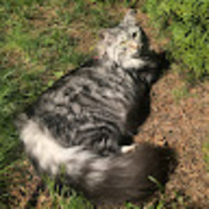 Meet your Posher, Jenn